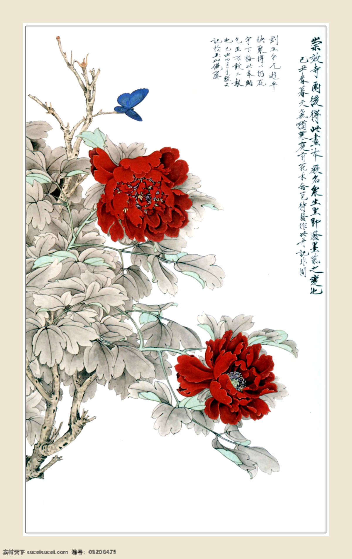 工笔 工笔画 国画 国画牡丹 国画艺术 蝴蝶 花鸟图 画 牡丹图 现代国画 水墨画 牡丹画 书法 印章 绘画书法 文化艺术 装饰素材 雕刻 图案