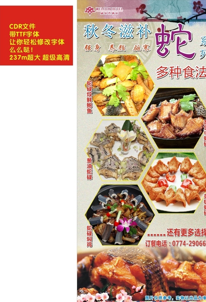 x展架 秋冬滋补 蛇碌焖鸡 美极蛇碌 葱油蛇碌 蛇碌炆鲜鲍鱼 蛇鸡煲 椒盐蛇碌 酒店广告 承办宴席 阿阳作品