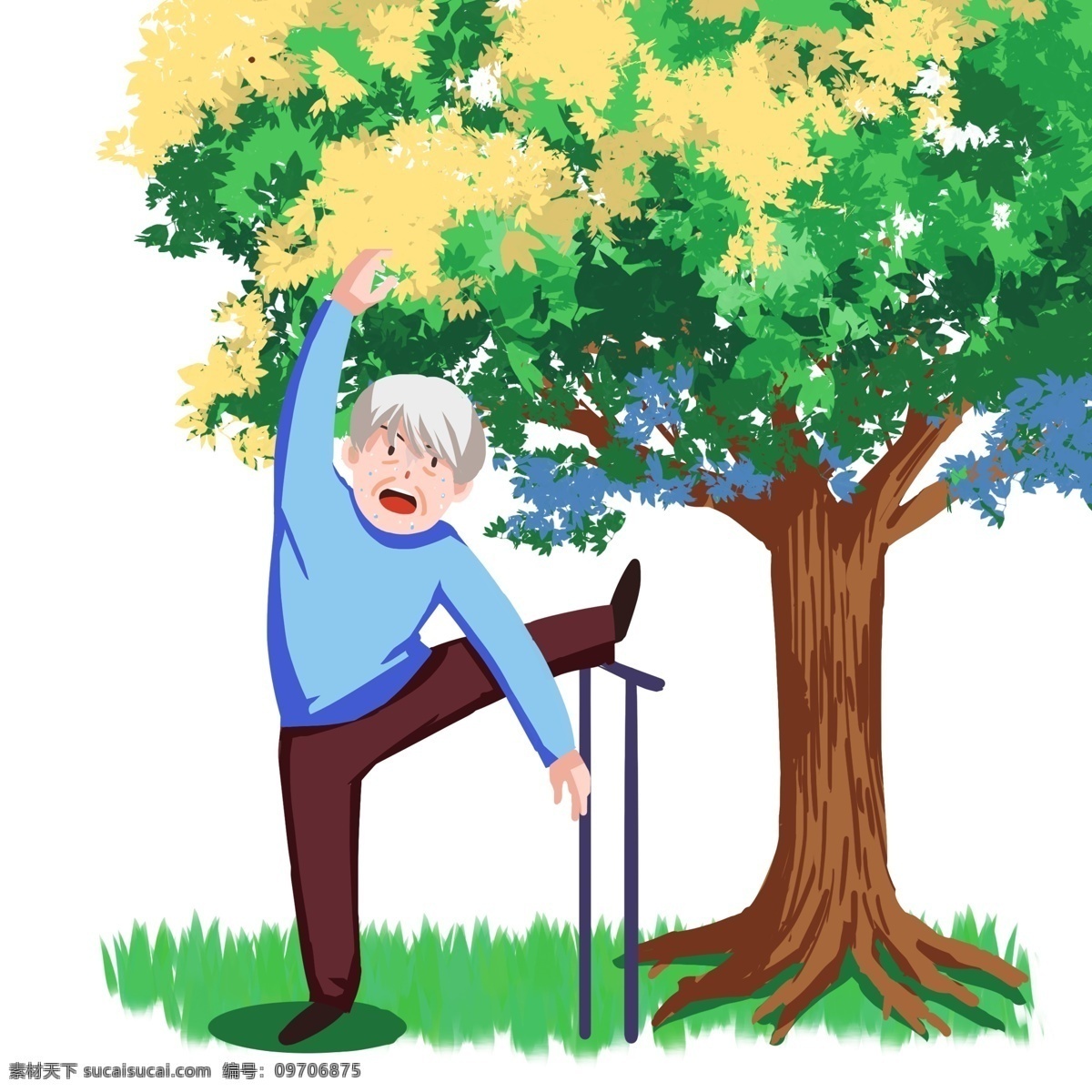 养生 大爷 手绘 插画 大树 树干 棕色 蓝色的衣服 压腿 白头发 青青的草地 绿色的草地 锻炼