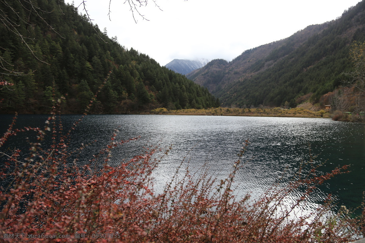 九寨沟风光 九寨沟旅游 四川旅游 四川风景 四川美景 山水 风光 阿坝州风景 旅游摄影 国内旅游