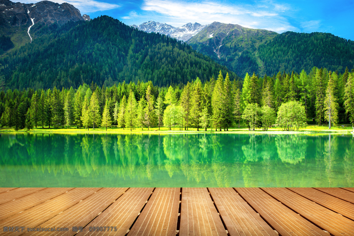 美丽 树木 水潭 森林风景 树林风景 美丽风景 自然风景 美丽风光 美丽景色 风景摄影 美景 湖面倒影 山水风景 风景图片 树林