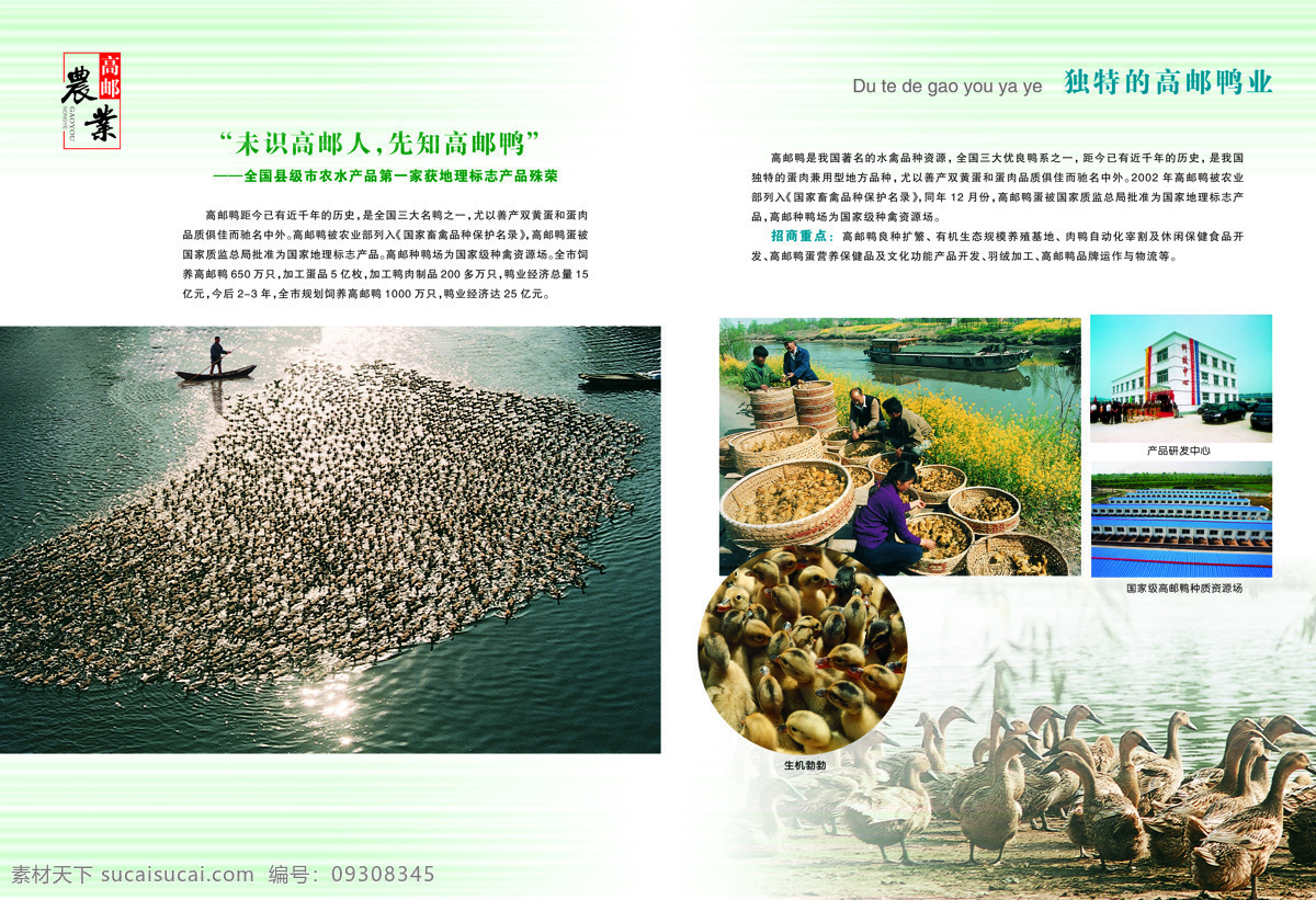画册设计 设计图库 招商手册 高邮 农业 招商中心 招商 手册 设计素材 模板下载 高邮农业 孤獨劍的作品 海报 其他海报设计