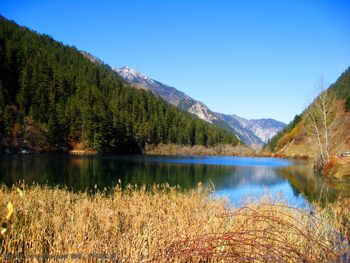 九寨沟 湖水 高山 森林 青山绿水 树林 森林公园 四川 生态公园 自然风光 自然风景 自然景观