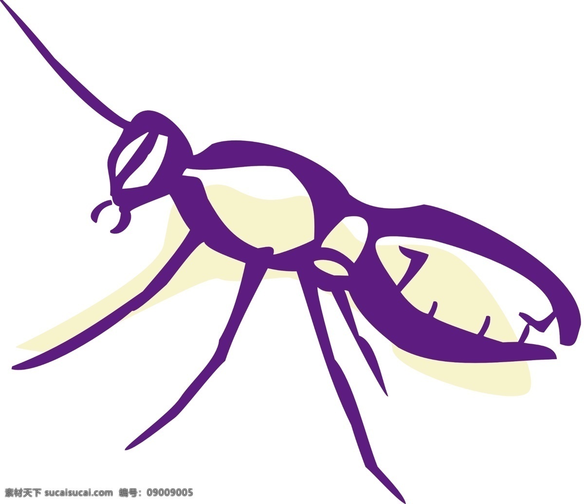 蚂蚁 动漫动画 线描 昆虫线条 昆虫特写 昆虫造型 昆虫线条轮廓 昆虫轮廓 生物世界