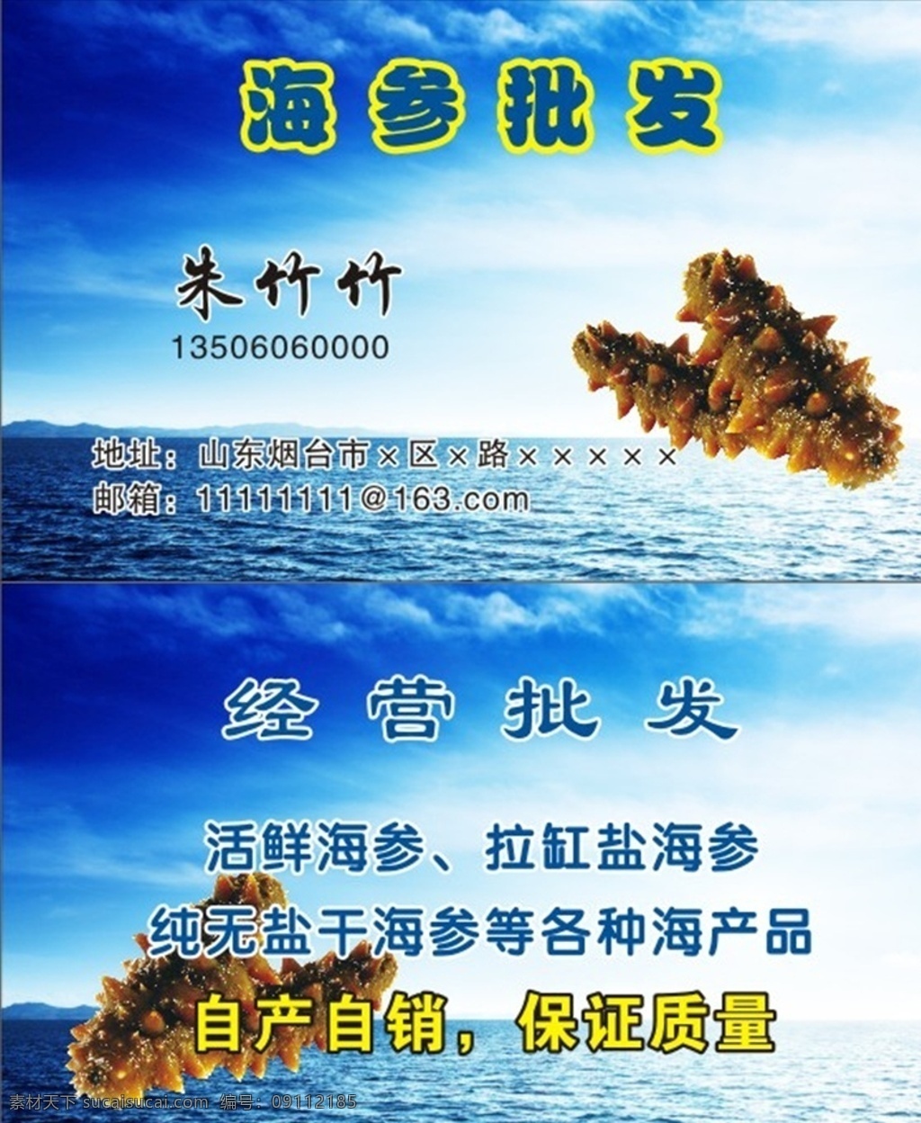 海参 批发 蓝色 名片 海参名片 蓝色名片 高档名片 海洋名片 鲍鱼名片 名片卡片