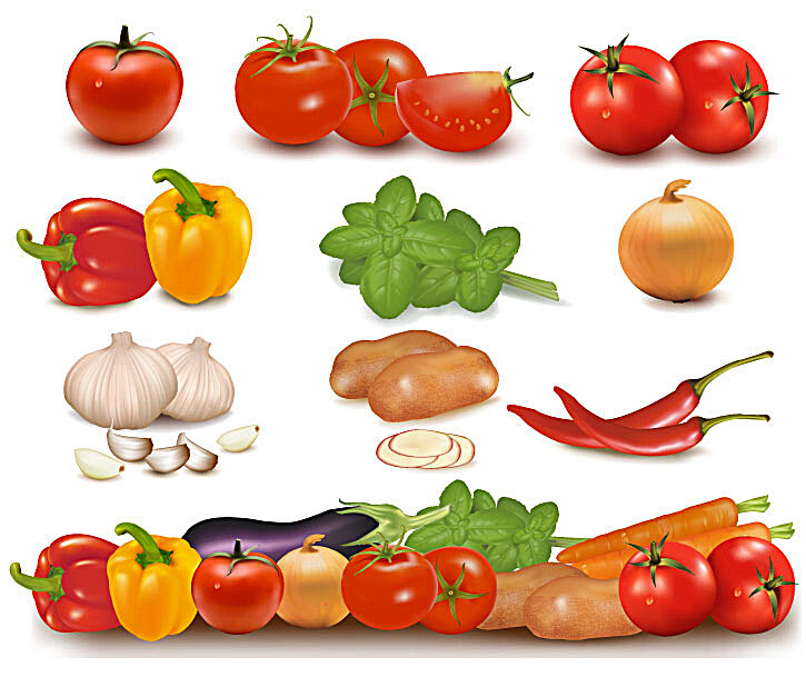 矢量蔬菜 新鲜蔬菜 辣椒 西红柿 蕃茄 茄子 胡萝卜 蘑菇 蒜头 大蒜 蔬菜水果 生物世界 矢量素材 白色