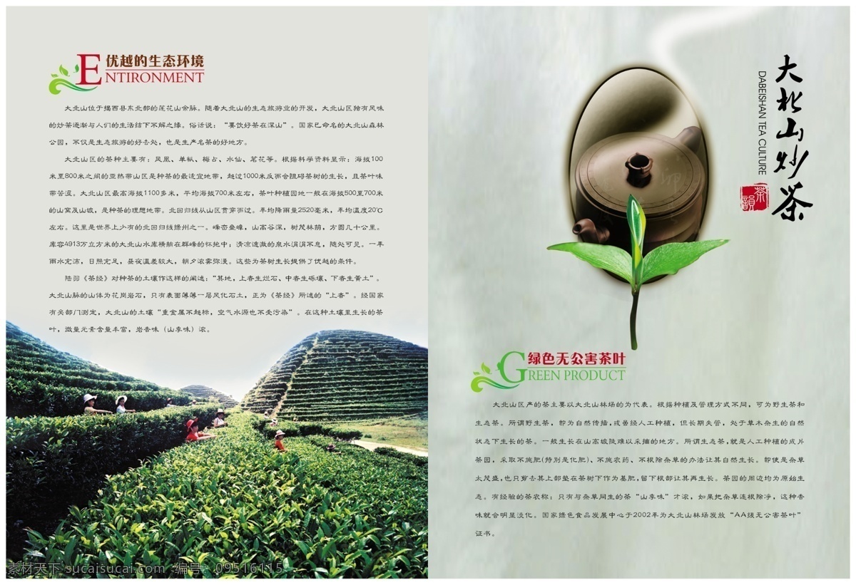 分层 茶壶 茶山 茶叶 茶叶画册 茶园 茶园风光 茶韵 画册 绿色食品 源文件库 广告设计模板 画册设计 其他画册封面