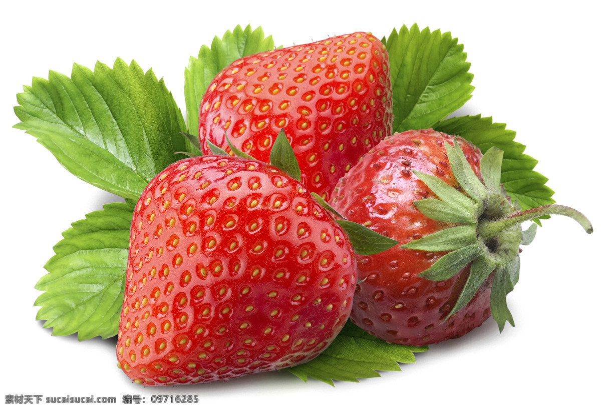 高清 草莓 绿叶 设计素材 水果类素材 高清草莓 生物世界
