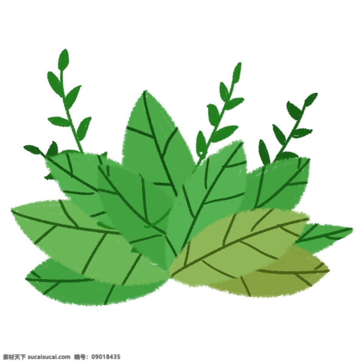 清新 绿色 树叶 葱郁 手绘 卡通 海报 画册 淘宝 装饰 花边 分层 小草 初夏 青草