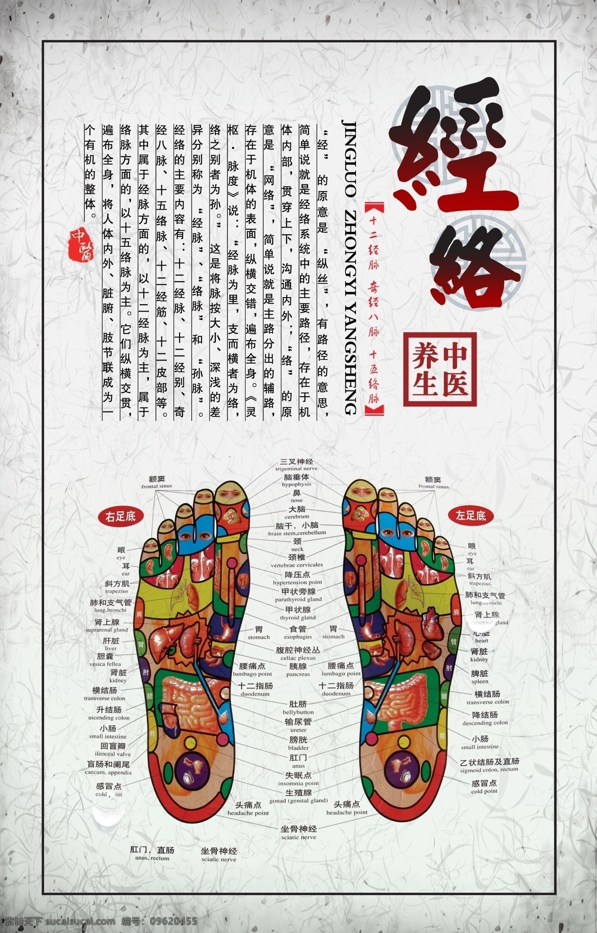 足疗 足底按摩 中医 养生 中医展板 经络 足底反射区 休闲 足疗保健 展板模板 广告设计模板 源文件