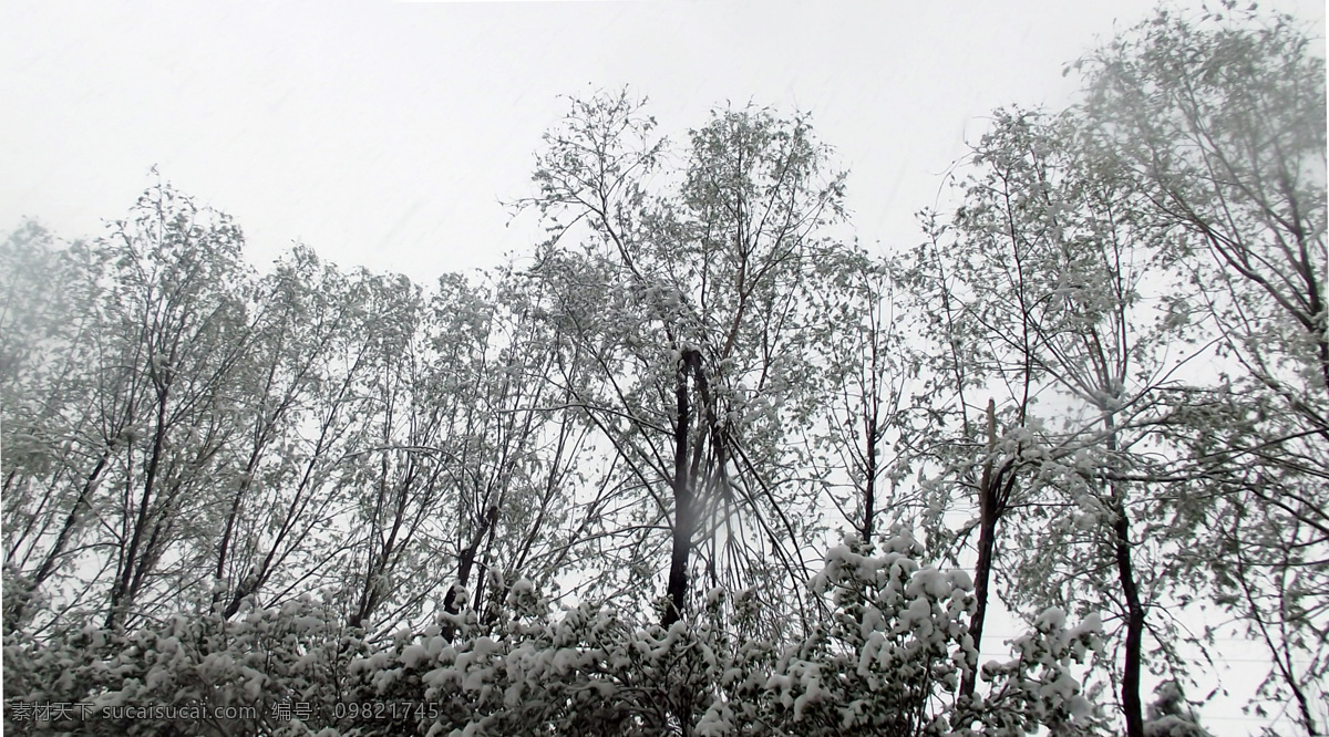 雪景 春天 风景 天空 写意 雪 自然风景 春雪 春天的雪 自然景观 psd源文件