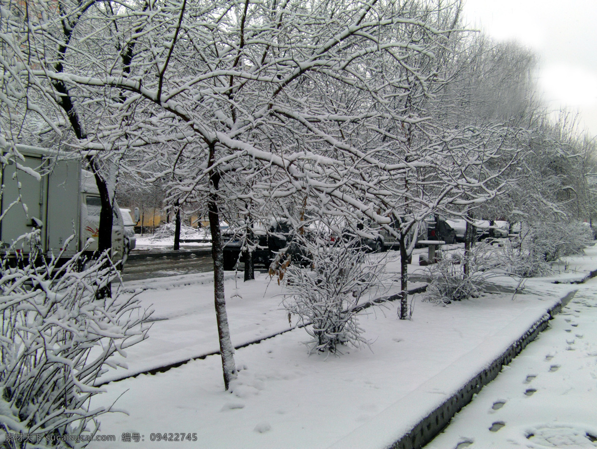 雪景 春 春景 树 雪 自然风景 自然景观 新疆春季风光 psd源文件