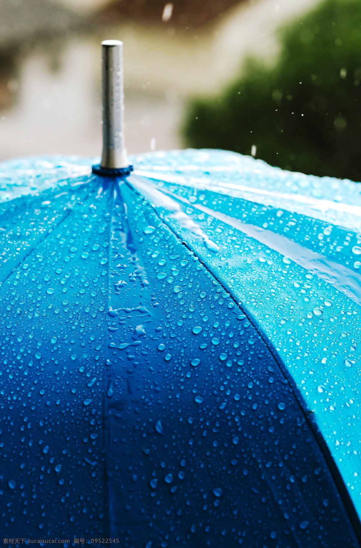唯美雨伞 唯美 清新 意境 文艺 雨伞 非主流 生活百科 生活素材