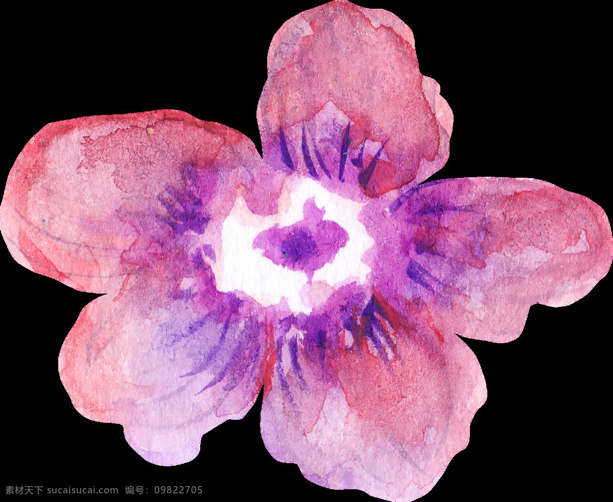 凝聚 花叶 卡通 水彩 透明 花束 粉色 透明素材 免扣素材 装饰图案