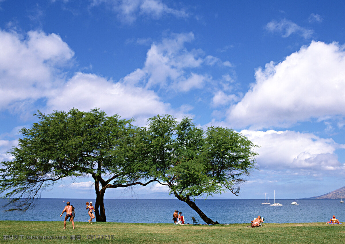 美丽 夏威夷 海岸 风景 夏威夷风光 美丽风景 大海 海岸风情 蓝天白云 海面 大海图片 风景图片