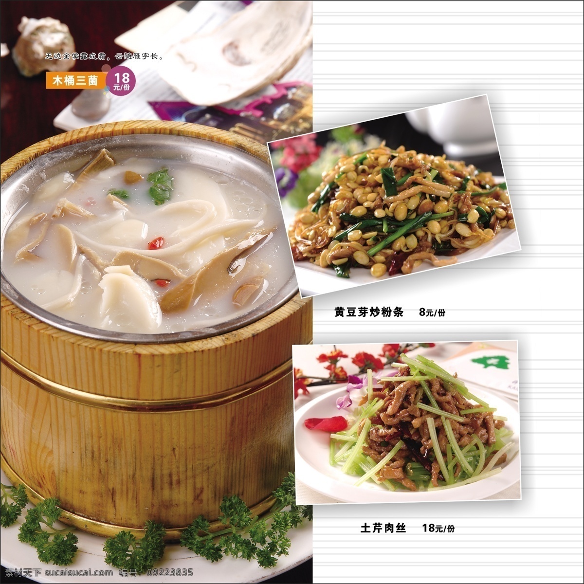菜单 菜单菜谱 菜谱 菜谱菜单设计 菜谱画册 高档菜谱 广告设计模板 果汁 木桶 砂锅 芹菜 肉丝 深色背景 源文件 其他画册封面