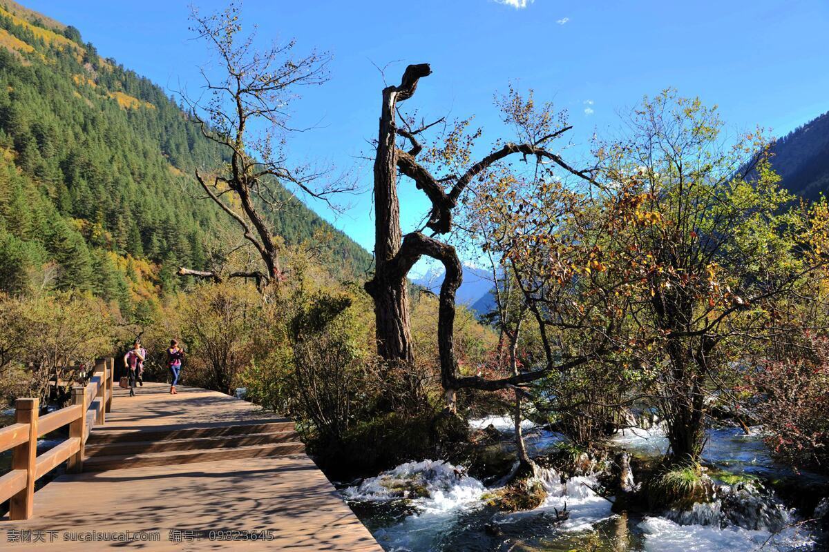 唯美九寨沟 唯美 清新 风景 风光 四川 九寨沟 旅行 旅游 自然 山水 秀丽 旅游摄影 国内旅游