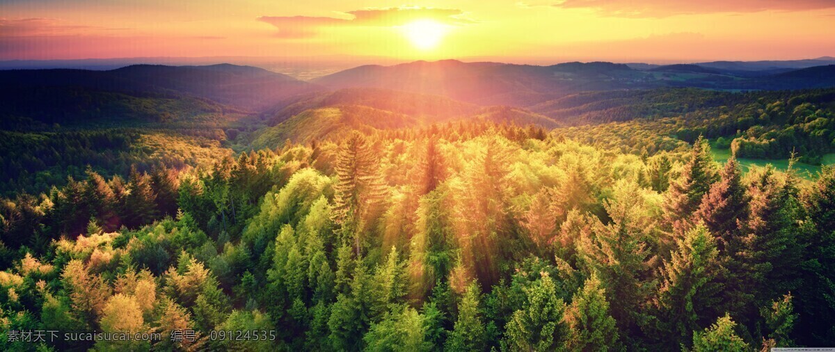 树林 高清 壁纸 唯美壁纸 风景 壁纸屏保 清洗壁纸 山水 风景图片