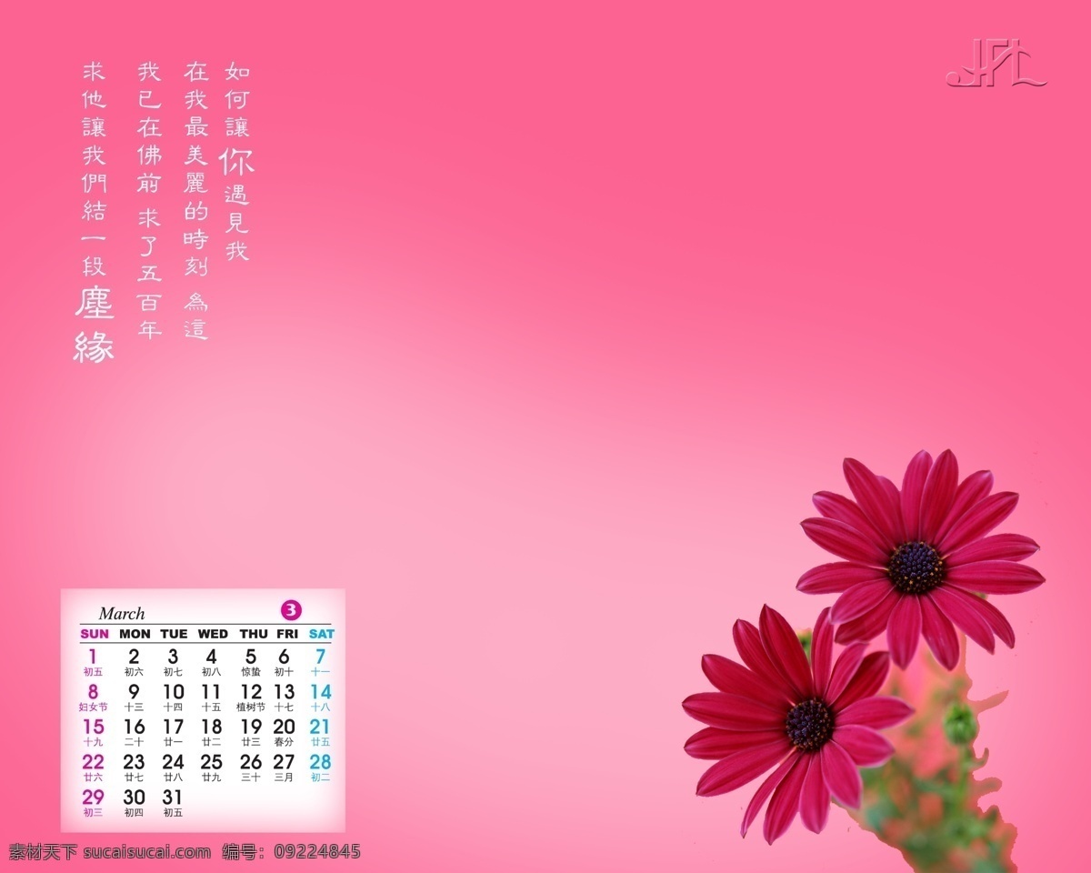 2009 年 日历 模板 台历 放飞 青春 花 恋歌 09日历模板 模板下载 日历模板下载 psd源文件