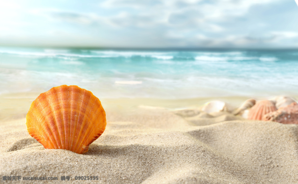 沙滩 贝壳 海滩 啥子 海螺 大海 可爱 海洋海边 大海图片 风景图片
