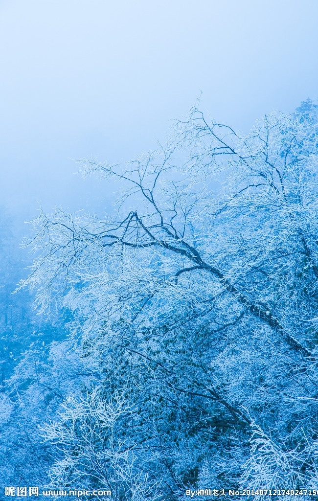 西岭雪山 云海 山峦 白雪 树林 成都 大邑 雾 雾凇 国内旅游 旅游摄影
