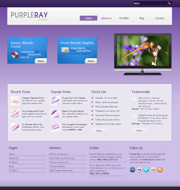 紫色 幻彩 css 网页模板 公司 企业 商务 商业 主页 网页素材