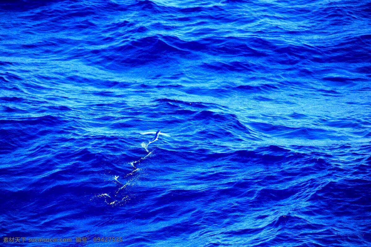飞鱼 掠 浪 第一次 见 这种 鱼儿 海上 航行 期间 不 时有 这样 鱼 船 艏 飞掠 风景 生活 旅游餐饮