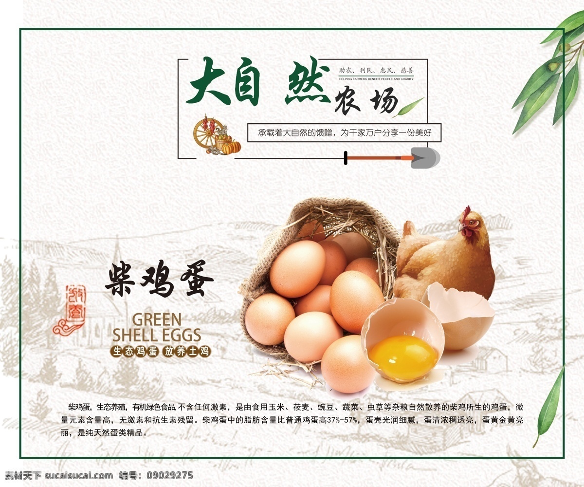 柴鸡蛋海报 柴鸡蛋 鸡蛋 中国风 海报 柴鸡