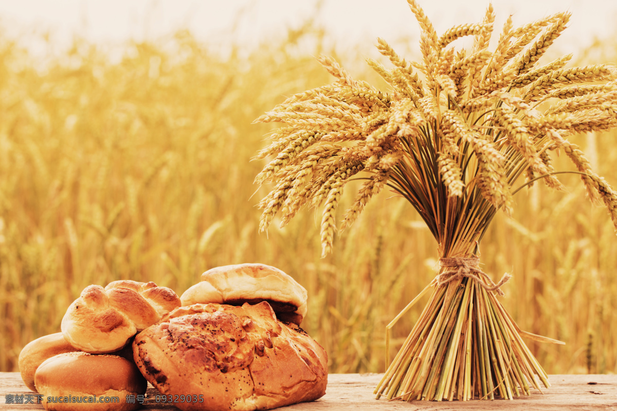 麦穗 全麦 面包 麦子 面包摄影 面包美食 食品 面食 食物 美食图片 餐饮美食
