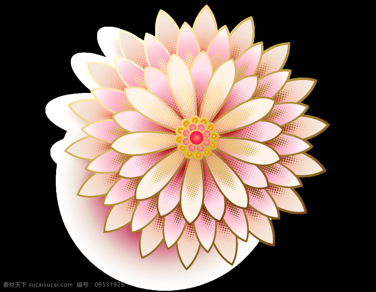 粉色 牡丹 花朵 插画 元素 png元素 免抠元素 透明元素