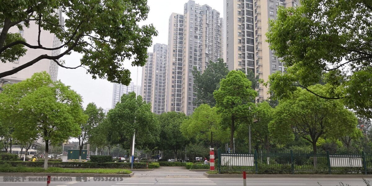 林荫 下 花园 小区 城市 高楼 住宅区 楼盘 高楼群 高层建筑 大城市 一线城市 2018 无锡 拍摄 建筑园林 建筑摄影
