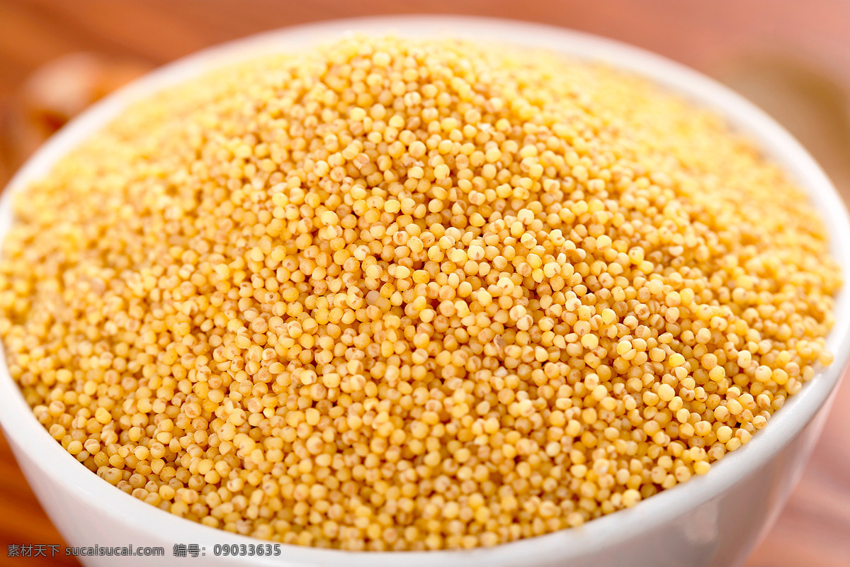 黄金小米 精品 优质黄金米 黄金米 小米 谷类 健康 有机 绿色 一碗小米 生活百科 生活素材