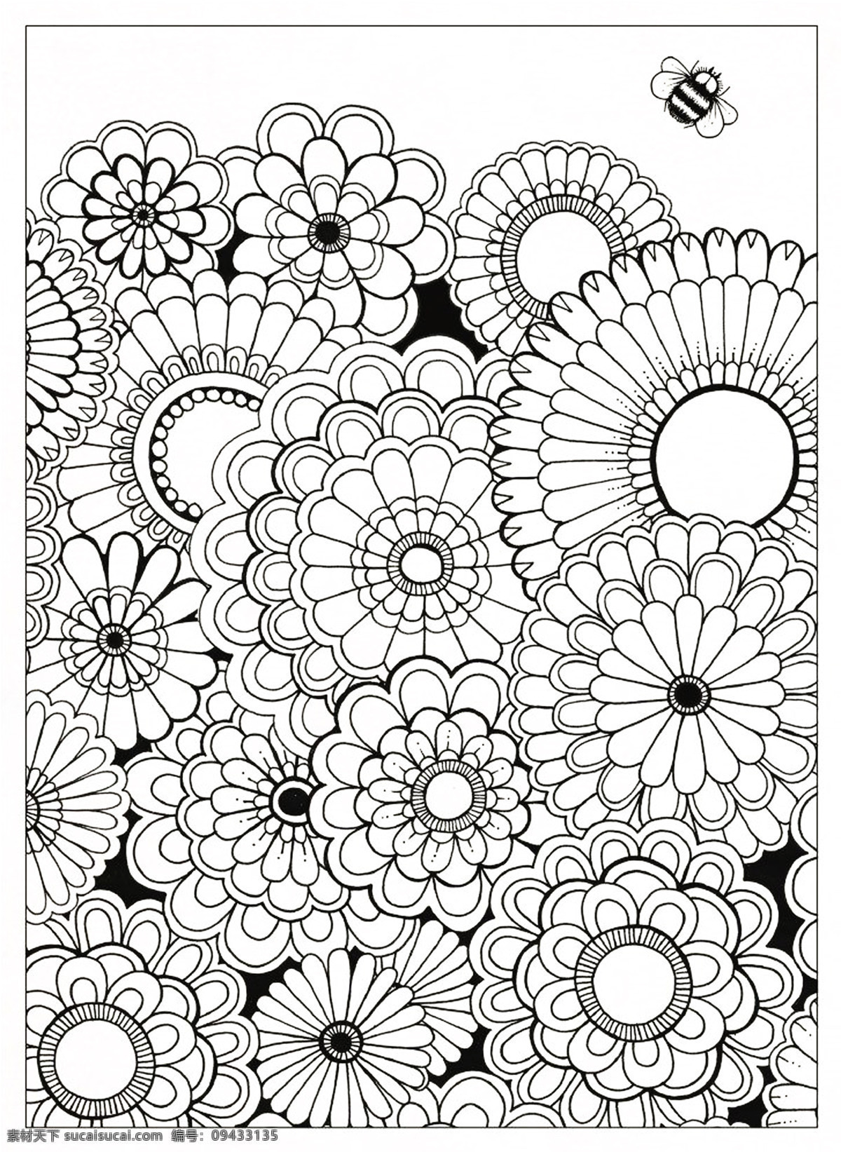 秘密花园 填色卡 花朵 简笔画 小学生 绘画 文化艺术 绘画书法 底纹边框 条纹线条