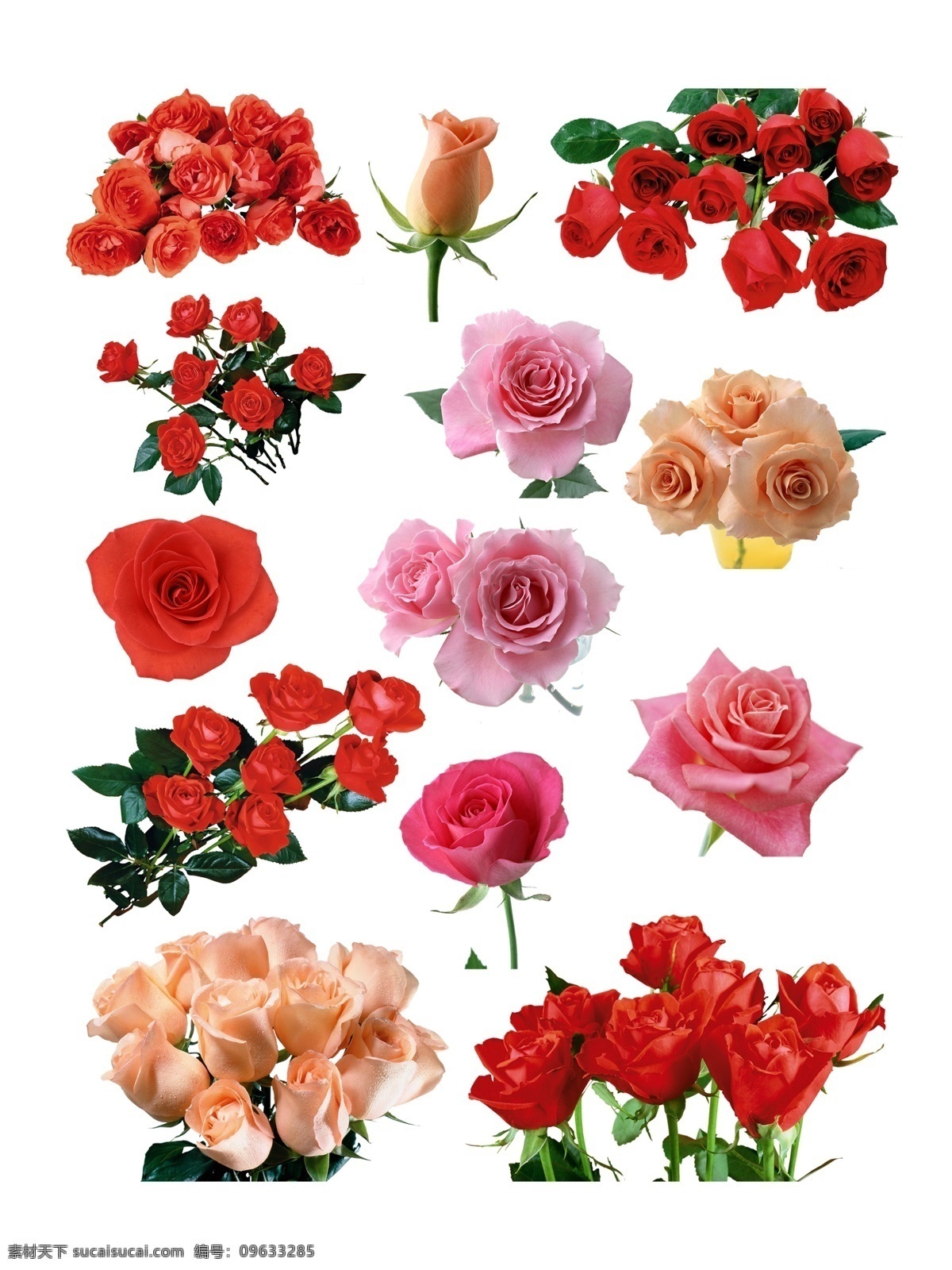玫瑰花素材 牡丹花 杜鹃花 花素材 一束花 玫瑰花元素 花 一枝花 一支玫瑰花 礼品花 红玫瑰 一支红玫瑰 情人节素材 玫瑰花朵 花朵 花朵素材 花卉 一束玫瑰花 红色玫瑰 花海 花底纹 花背景 玫瑰花背景 玫瑰花底纹 花朵海报 玫瑰花海报 分层