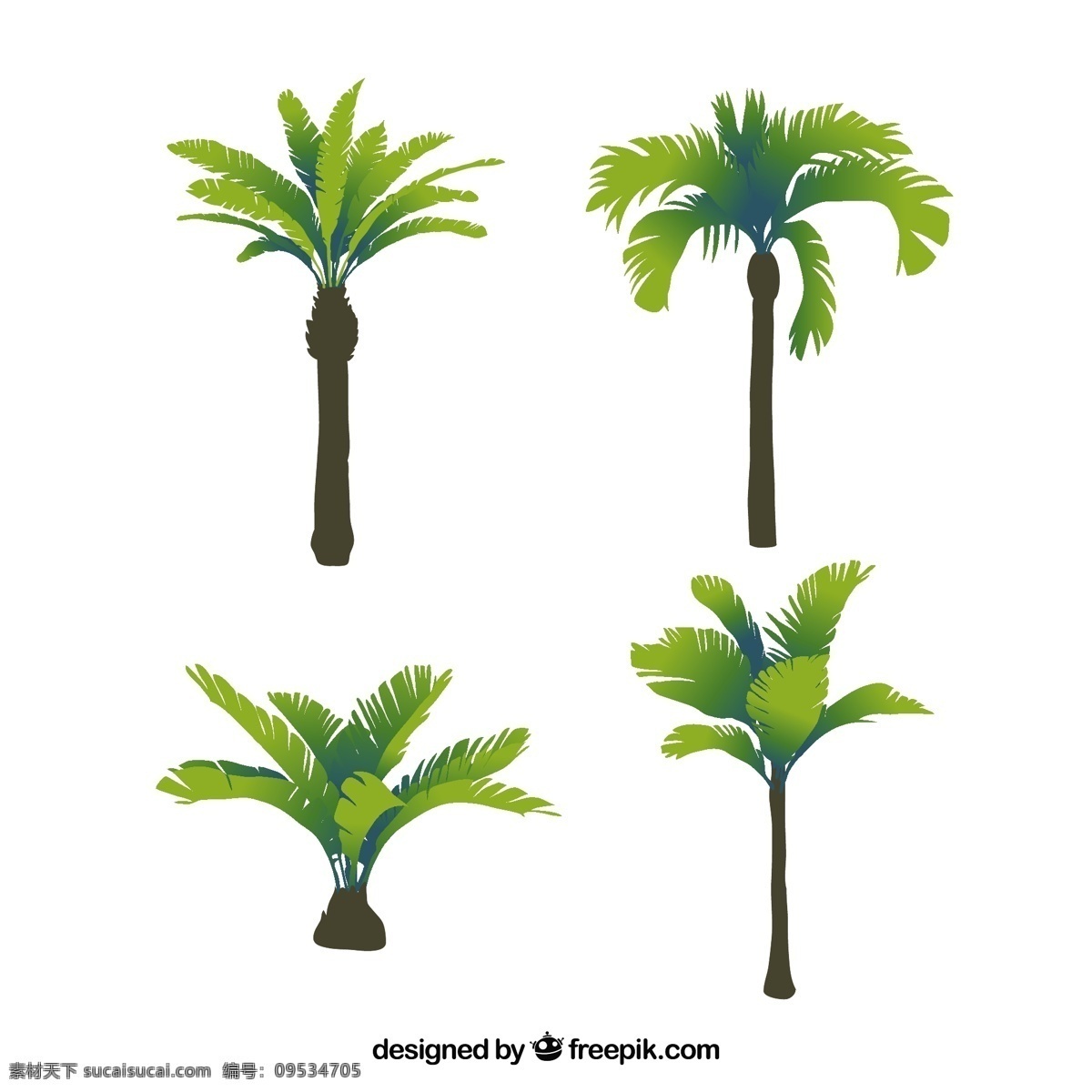四棵 热带 棕榈树 图形 热带棕榈树 图形素材