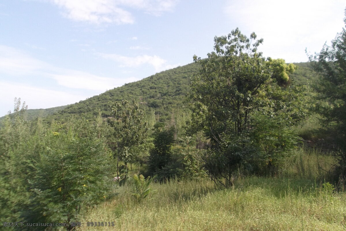 太行山绿化 树林 野外 深山 荒山 旅游摄影 自然风景 白色