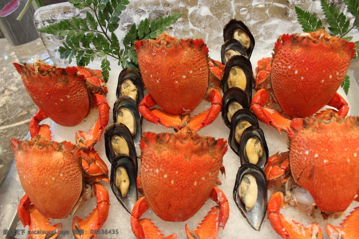 阿拉斯加雪蟹 海鲜 自助餐 螃蟹 蟹 西餐美食 餐饮美食