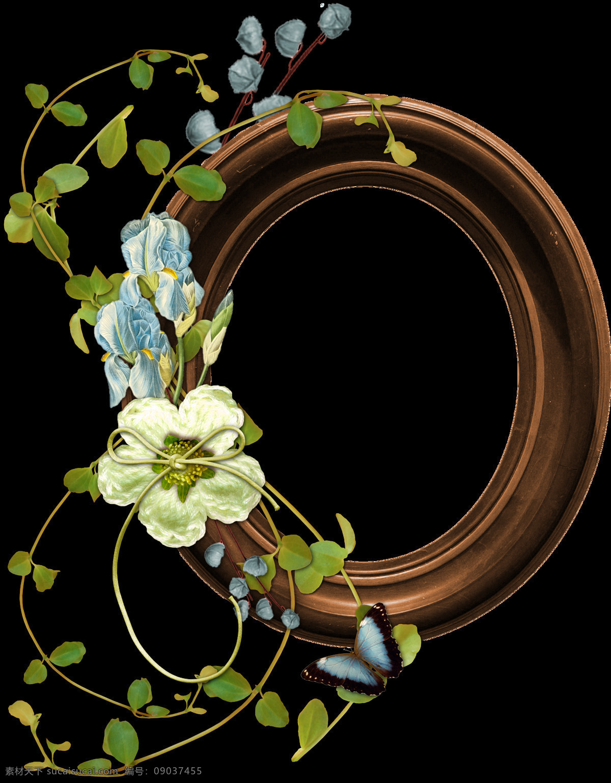 创意 花朵 边框 欧式装饰元素 蕾丝 欧式花纹 底纹边框 花边花纹