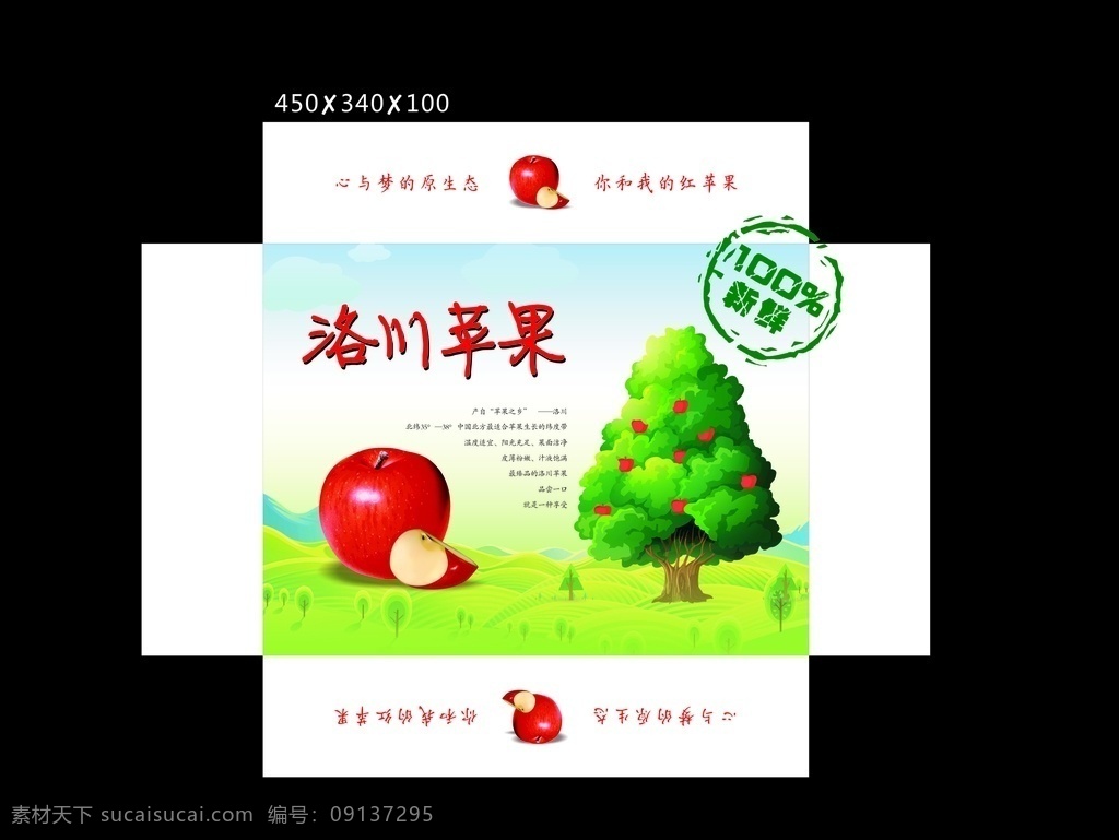 苹果包装 洛川 苹果 包装 彩盒 天地盒 盒子 包装设计