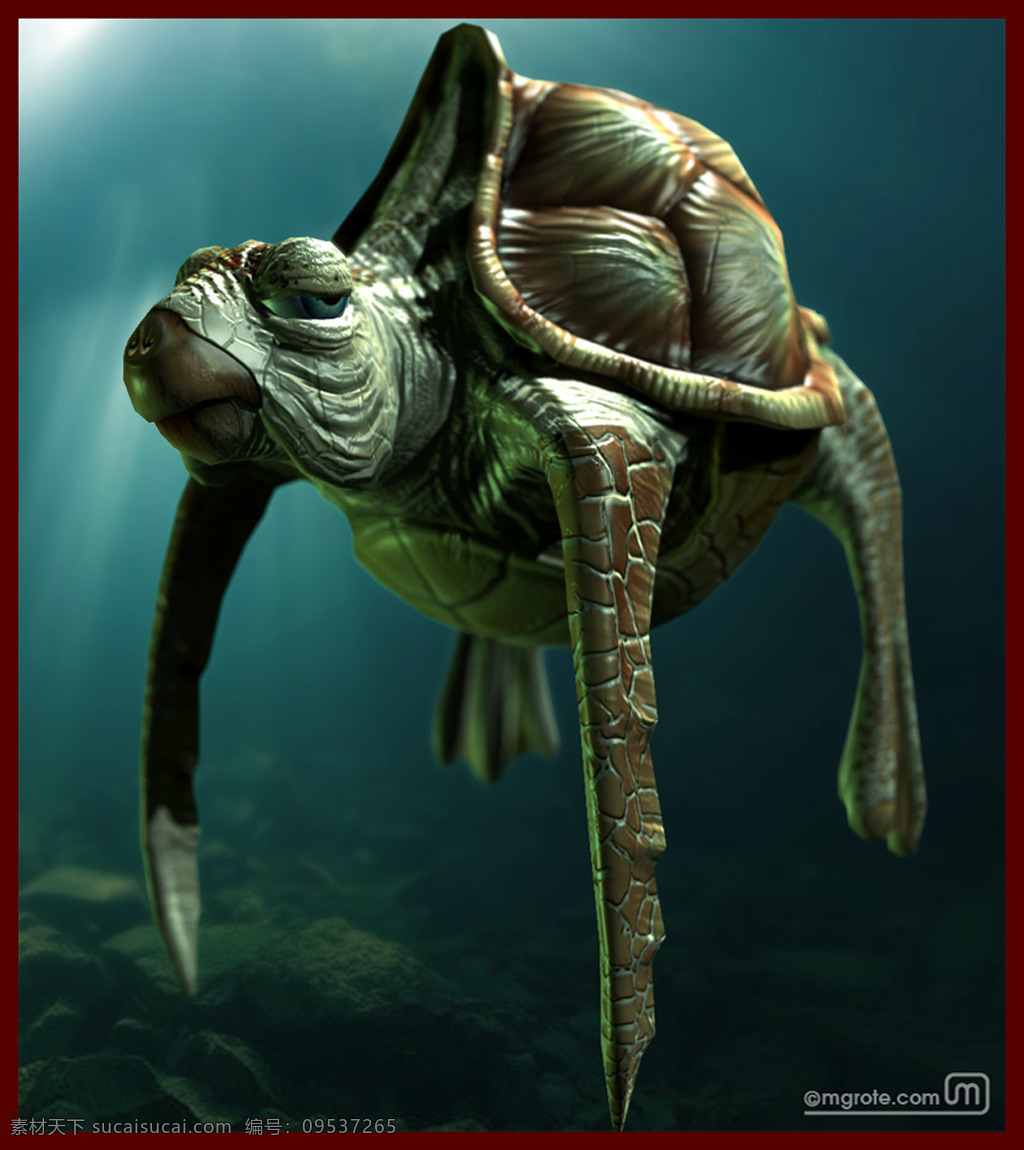 海龟 海洋生物 绿色 生物 动物 宠物 铠甲 水 3d作品 3d设计