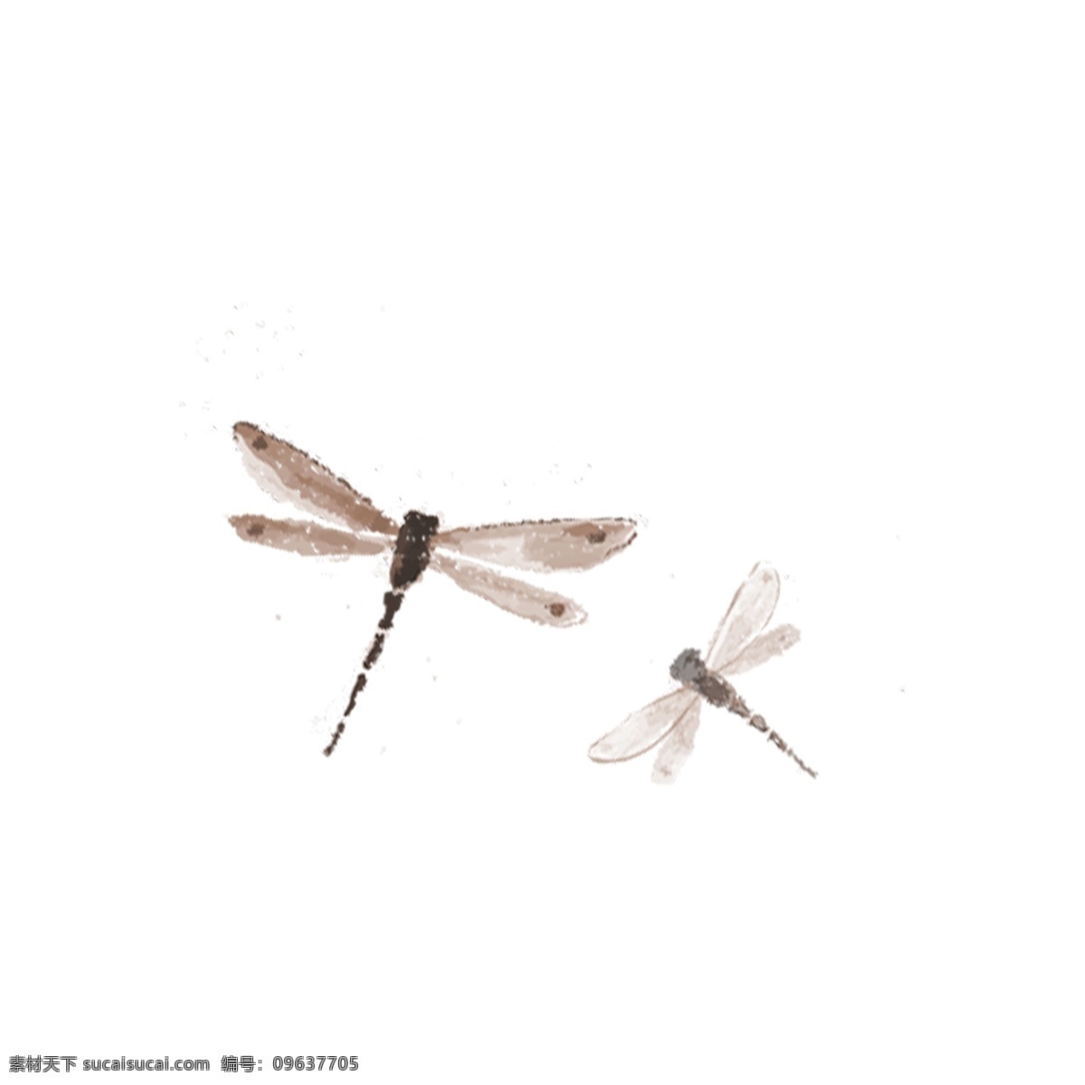 褐色 小 蜻蜓 装饰 元素 小蜻蜓