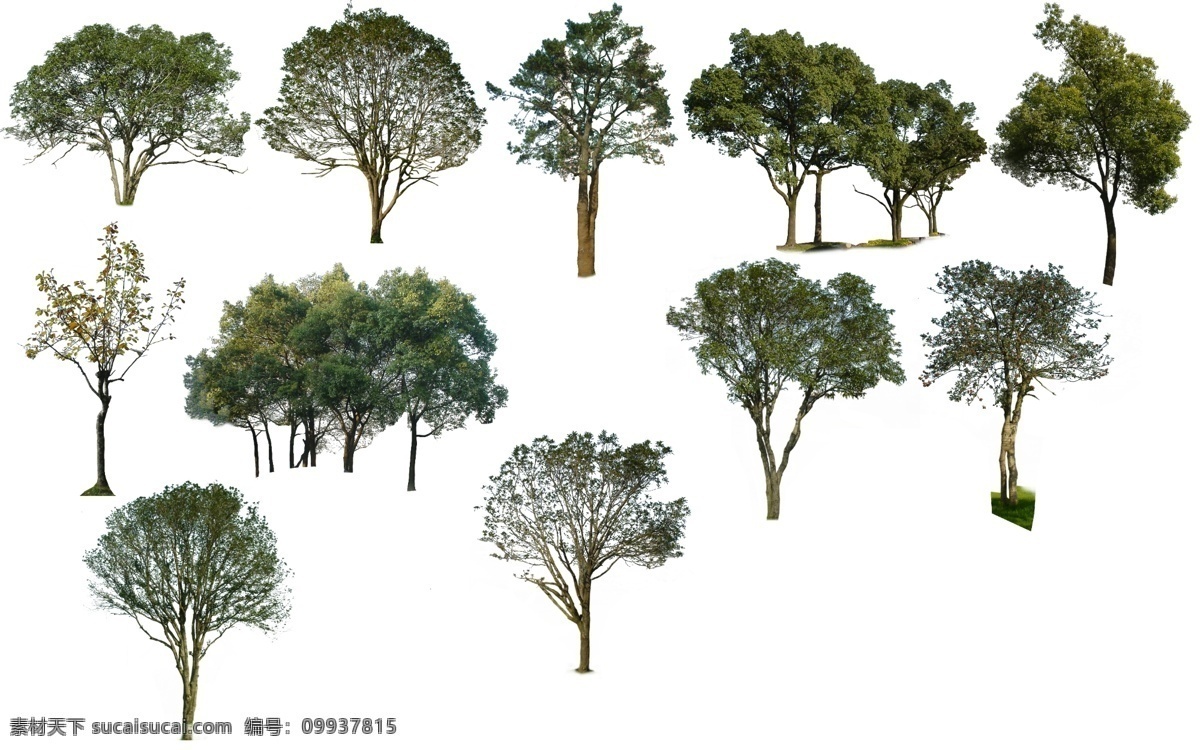 景观常用树 景观效果图 树 植物 树木 桃枝 树木素材 分层 源文件