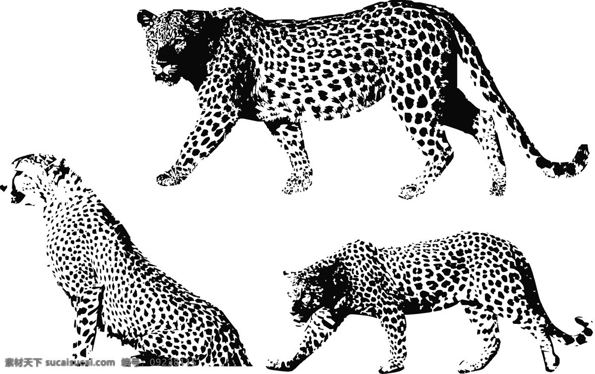 豹子 豹头矢量素材 豹头模板下载 豹头 豹子剪影 豹 动物 动物剪影 剪影 哺乳动物 黑白画 生猛动物 凶猛动物 猎豹 山豹 美洲豹 雪豹 豹子头 黑豹 野生动物 生物世界 矢量
