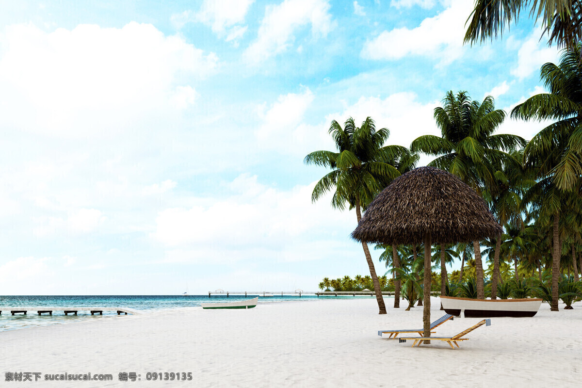夏季 沙滩 海岸 椰子树 天空 背景 椰子树天 空 背景素材