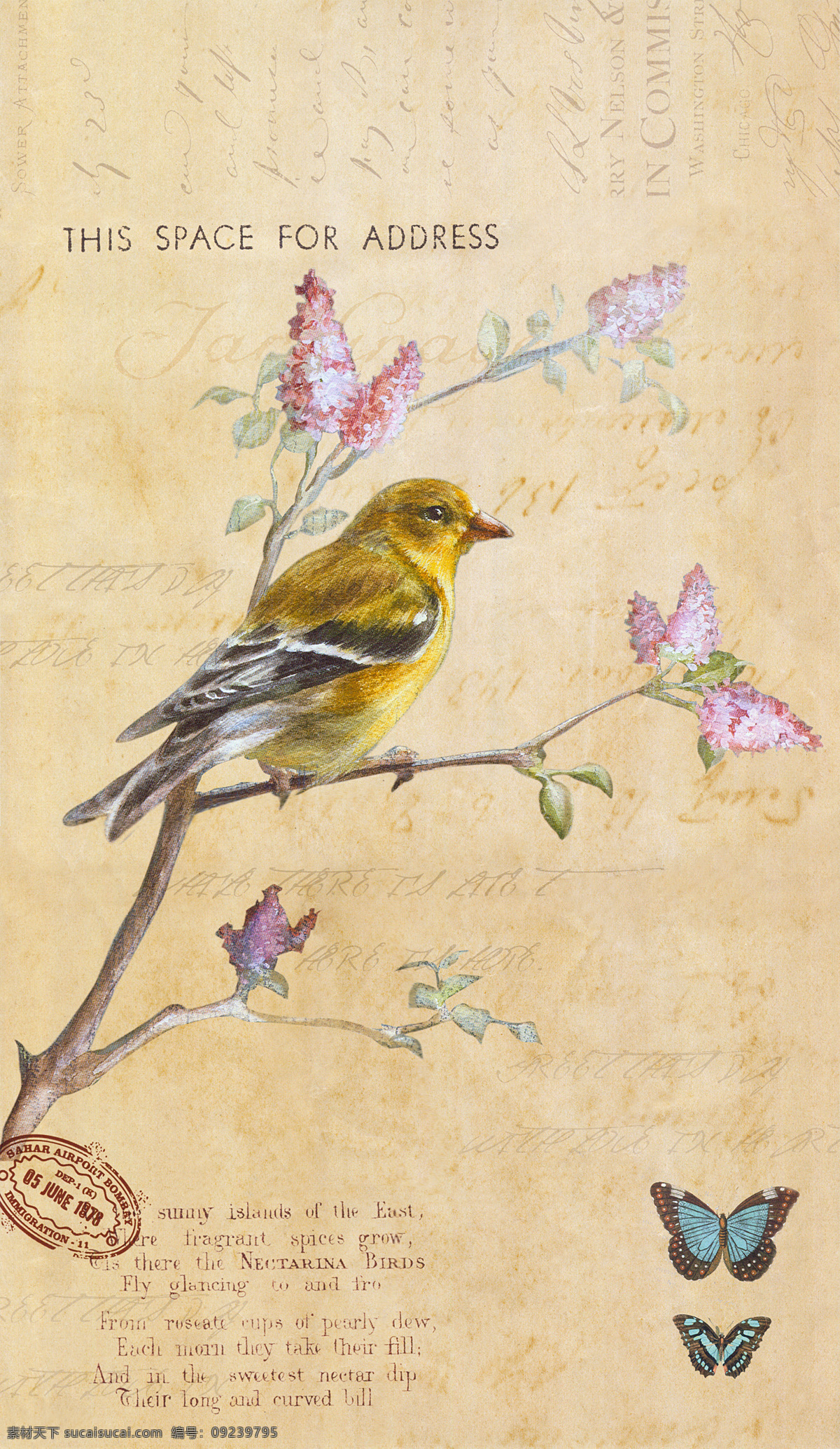小鸟 花卉 蝴蝶 油画 花卉油画 小鸟插画 花朵 鲜花油画 油画写生 装饰画 绘画艺术 无框画 其他艺术 文化艺术 黄色