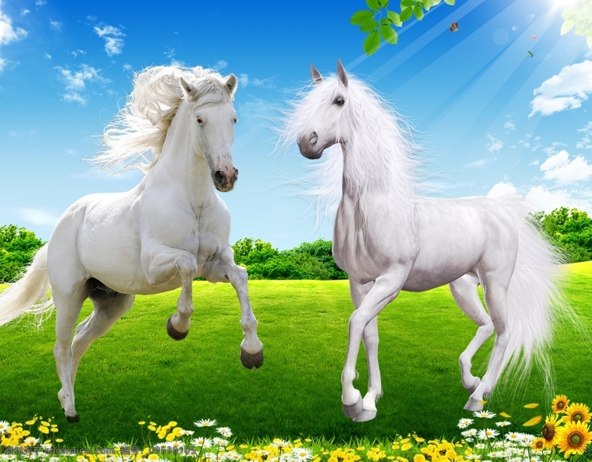 高清奔腾的马 草原上的马 奔腾的马 白马 漂亮的马 绿色