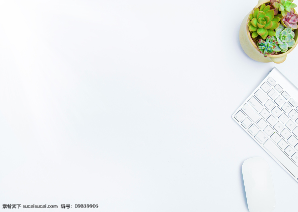 办公桌 文具 办公用品 绿色植物 多肉植物 键盘 白色键盘 鼠标 白色鼠标