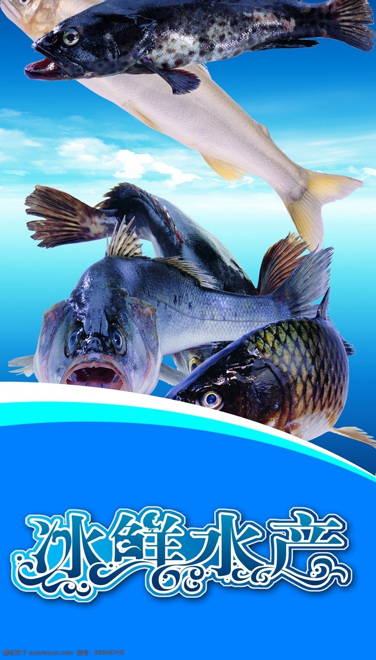 冰鲜水产 水产 冰鲜 海产 包柱 画报