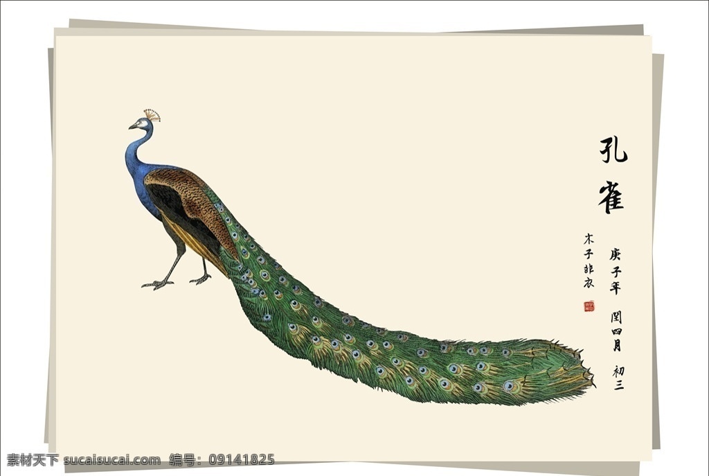 孔雀 绿孔雀 蓝孔雀 刚果孔雀 水墨画 绘画 笔墨丹青 生物世界 鸟类