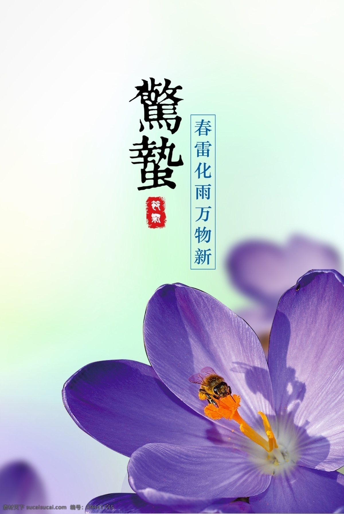 惊蛰节气海报 惊蛰 节气 花 蜜蜂 节日 紫色 春 24节气 花朵